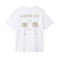 AMBITIONS