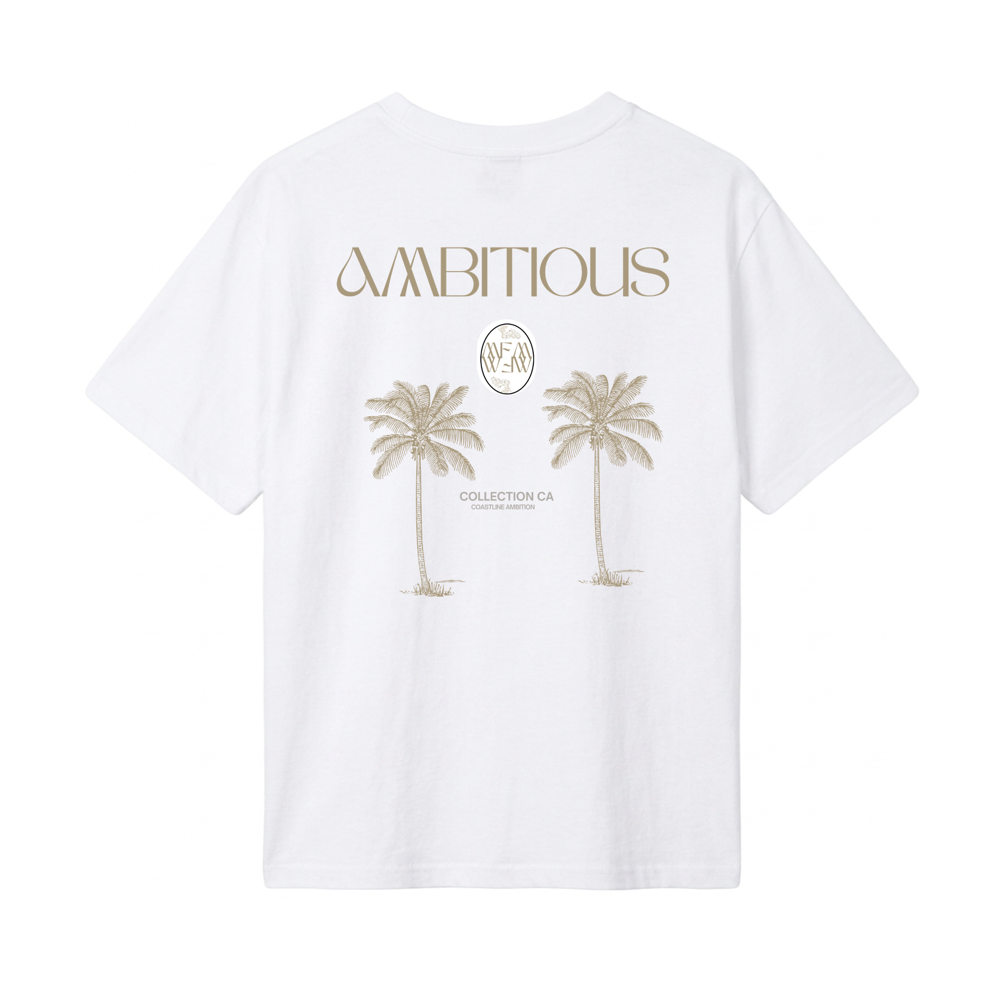 AMBITIONS
